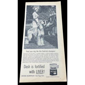Armour Dash Dog Food Vintage Print Ad 1954 Afghan Hound Liver Fortified